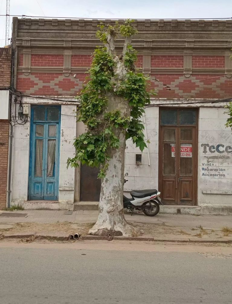 f6762722-a6a0-488a-9894-56dd11b20e2b-convertido-de-jfif(1)